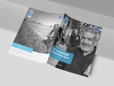 Stabilizing Livelihoods annual report data visualization editorial design halifax impact report infographic ngo design senior designer typography undp