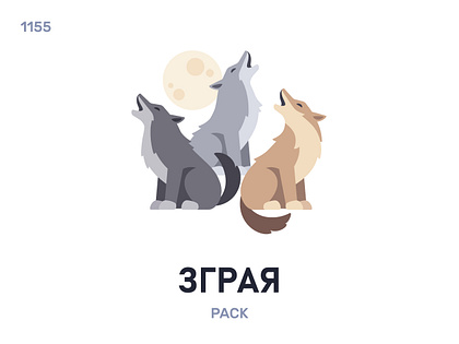 Згрáя / Pack