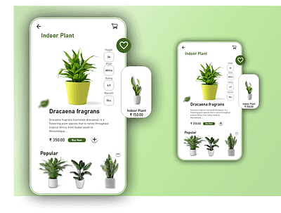 Creative flower e-commerce website design branding graphic design illustration landing page minimal minimal app design plant website web design web design for plant app