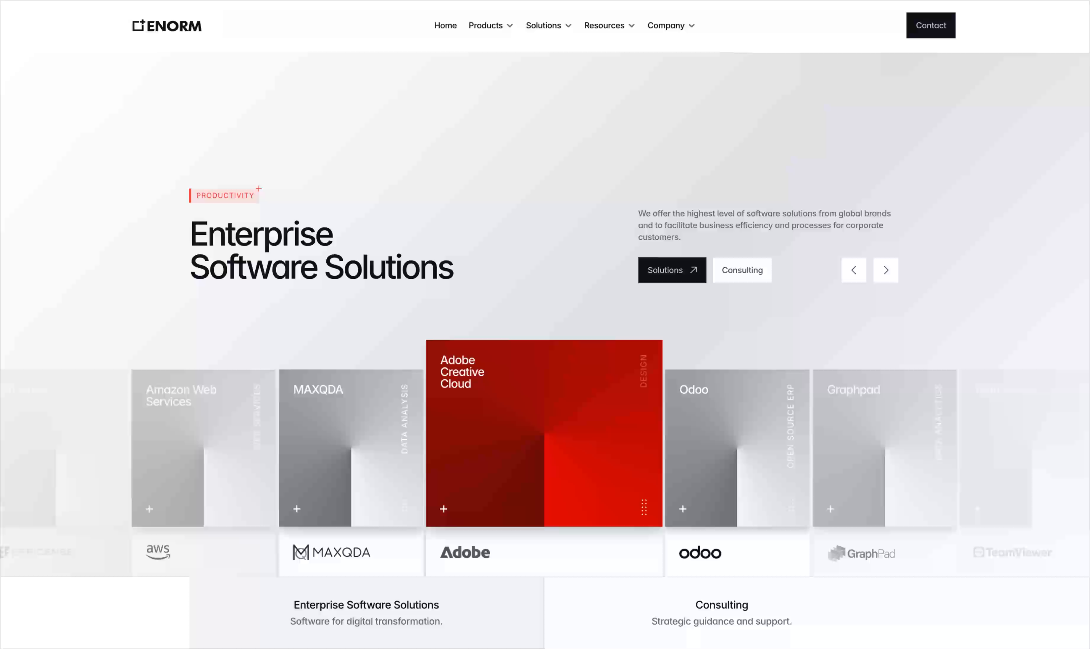 Example of Enorm Software Solutionds Animated Landing Page Design