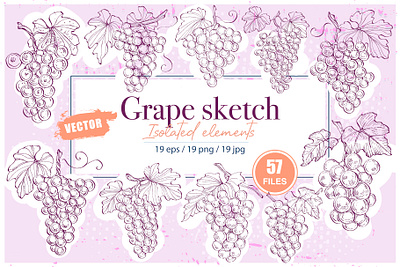 Grape sketch element eps fabric grape illustration isolated jpg png sketch vintage