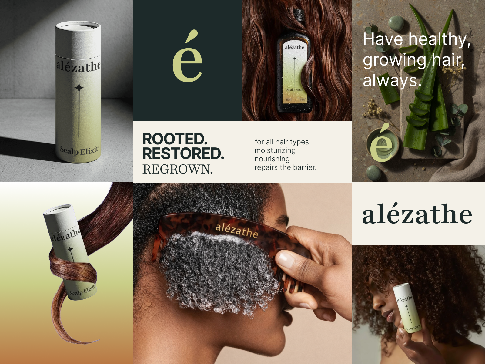 Example of Branding Identity And Packaging