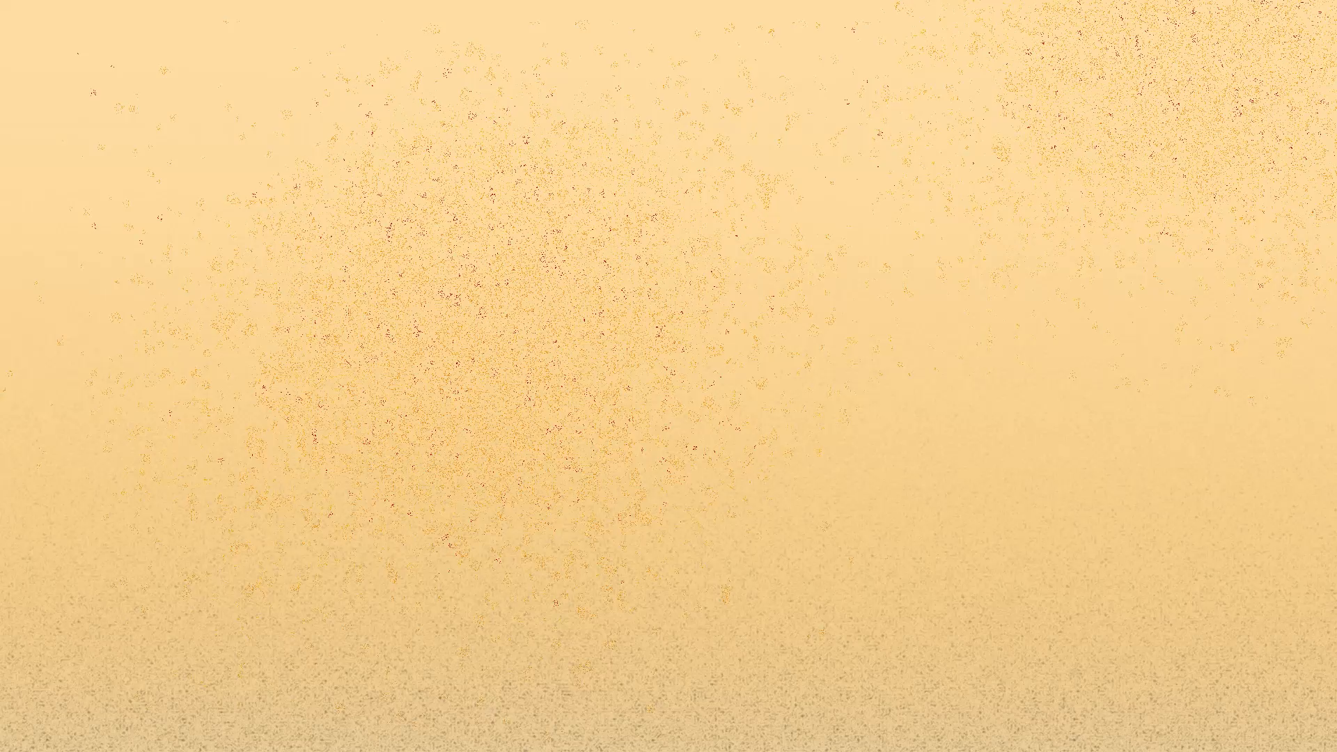 Quirky cat in 12 fps