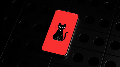Ara mascot animation