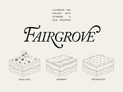 Fairgrove beauty branding clinical cosmetic design elegant flat font graphic design health illustration lettering logo logotype minimal premium simple soap type typography