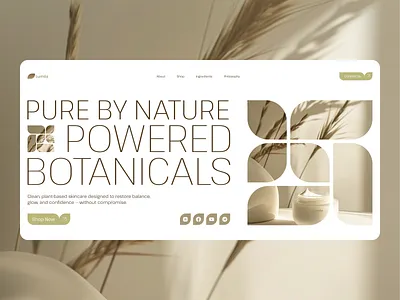 Lumea beauty figma landing ui web