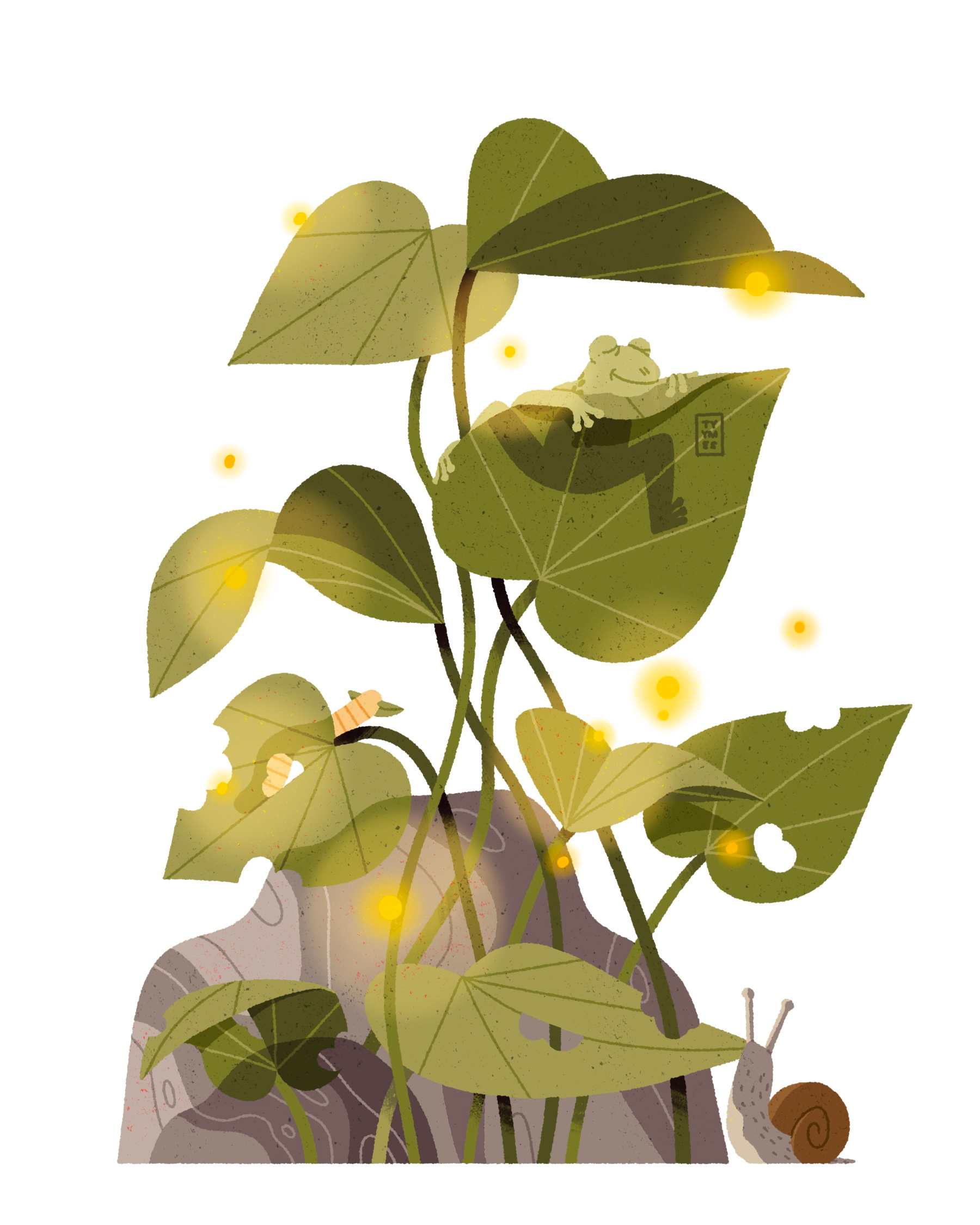 Between the Leaves #naturesnotes2026 beautiful design digital drawing challenge fauna flora frog illustration insect lake light minimal nature naturesnotes naturesnotes2026 pond procreate simple snail water