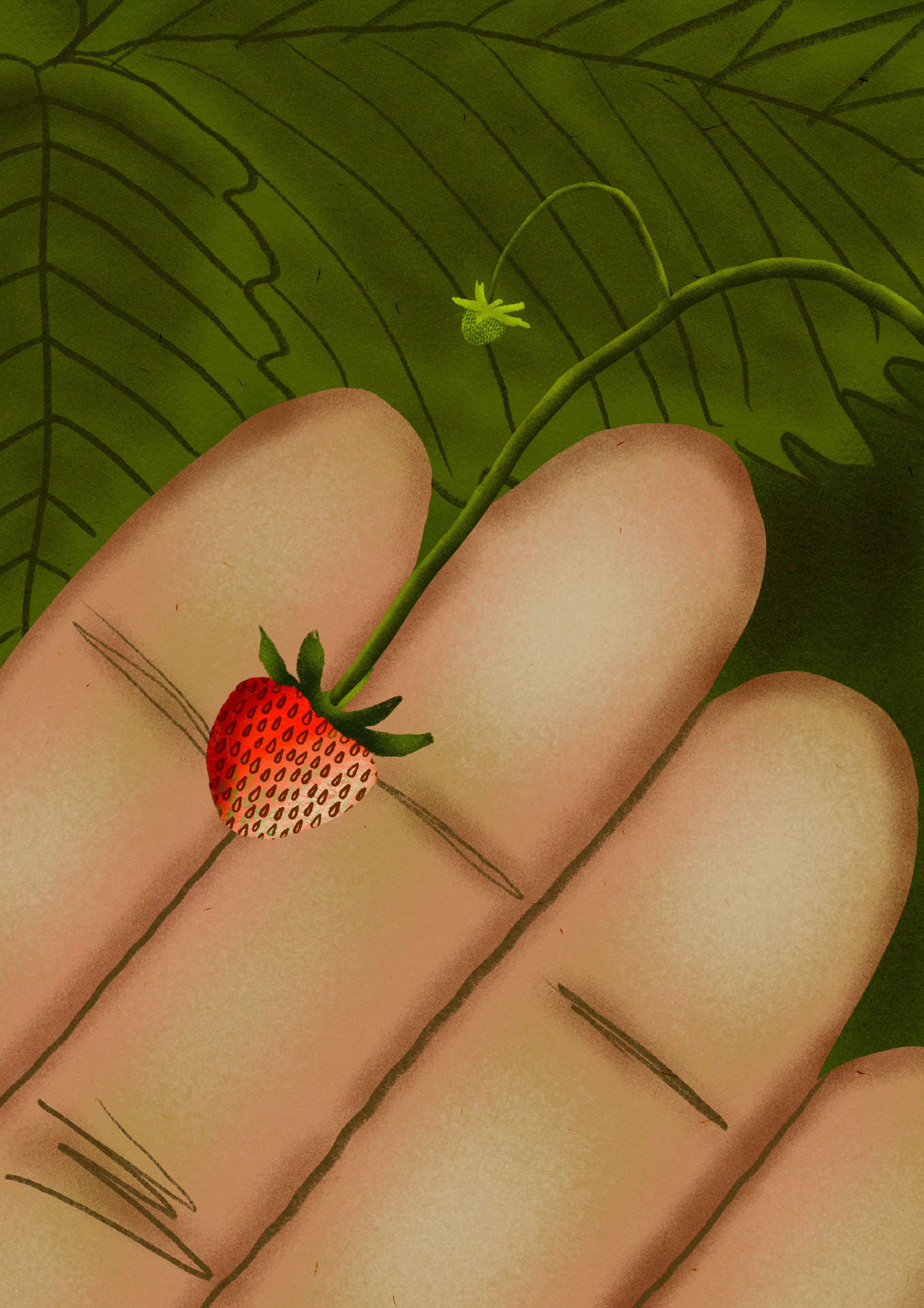 Wild strawberry artwork colorful digitalart digitalillustration drawing dribbblers illustration ipadpro minimal procreate semi realistic