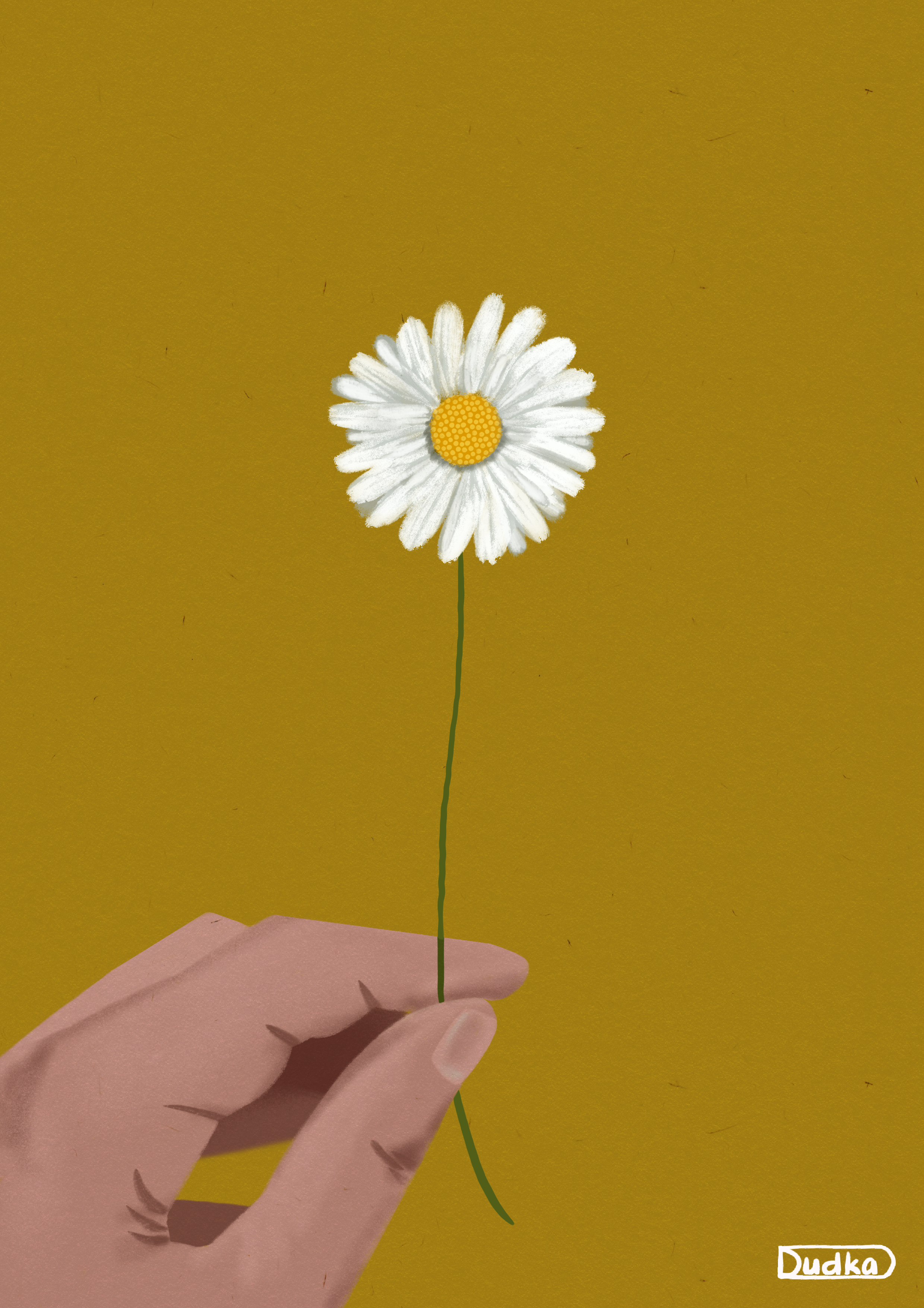 Daisy artwork cartoon characterdesign conceptart digitalart digitalillustration drawing graphicart illustration illustrationoftheday natureillustration procreate procreateart procreateillustration sketch visualart