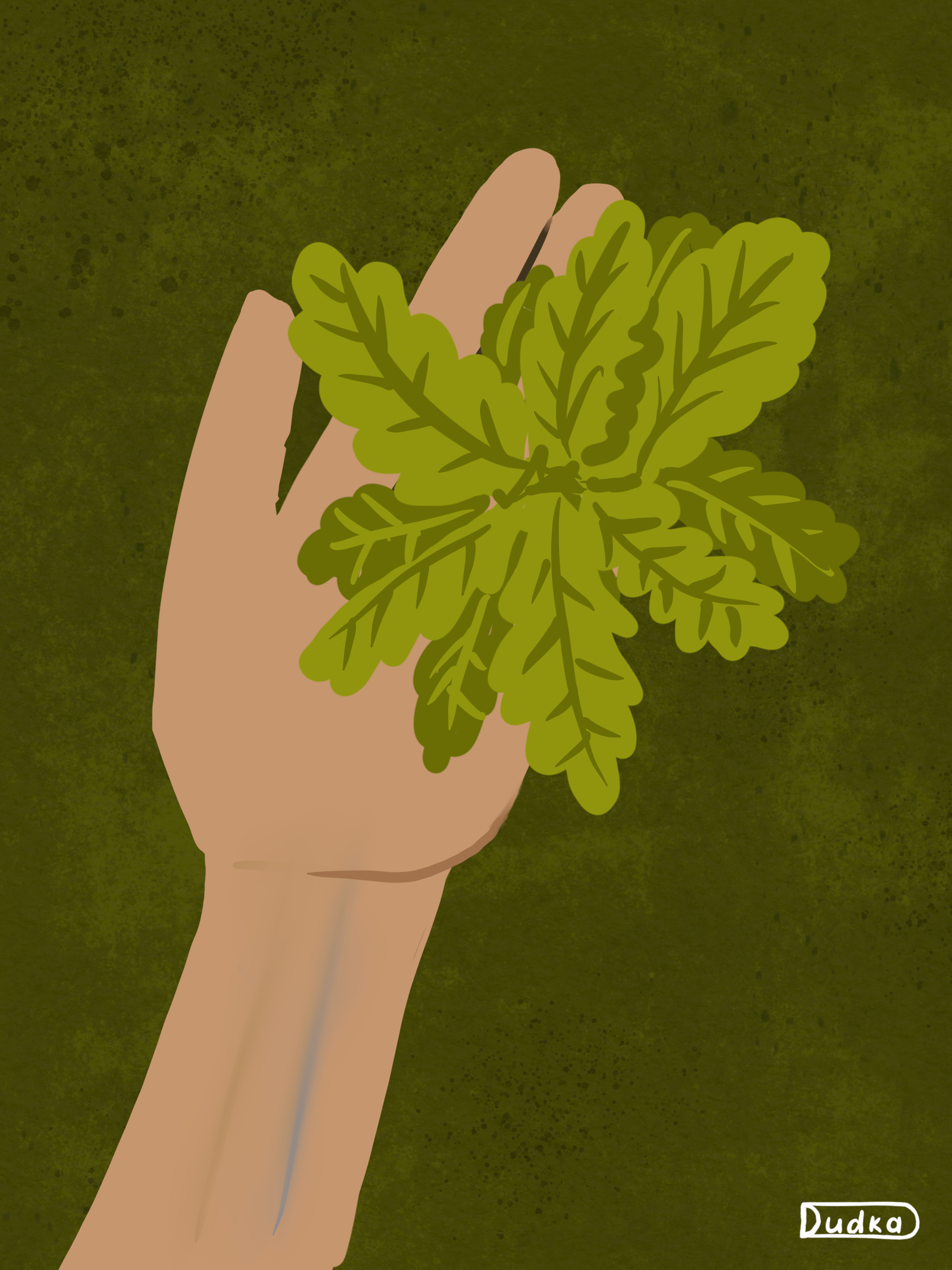 Молода гілочка дуба artwork cartoon characterdesign conceptart digitalart digitalillustration drawing graphicart illustration illustrationoftheday natureillustration procreate procreateart procreateillustration sketch visualart