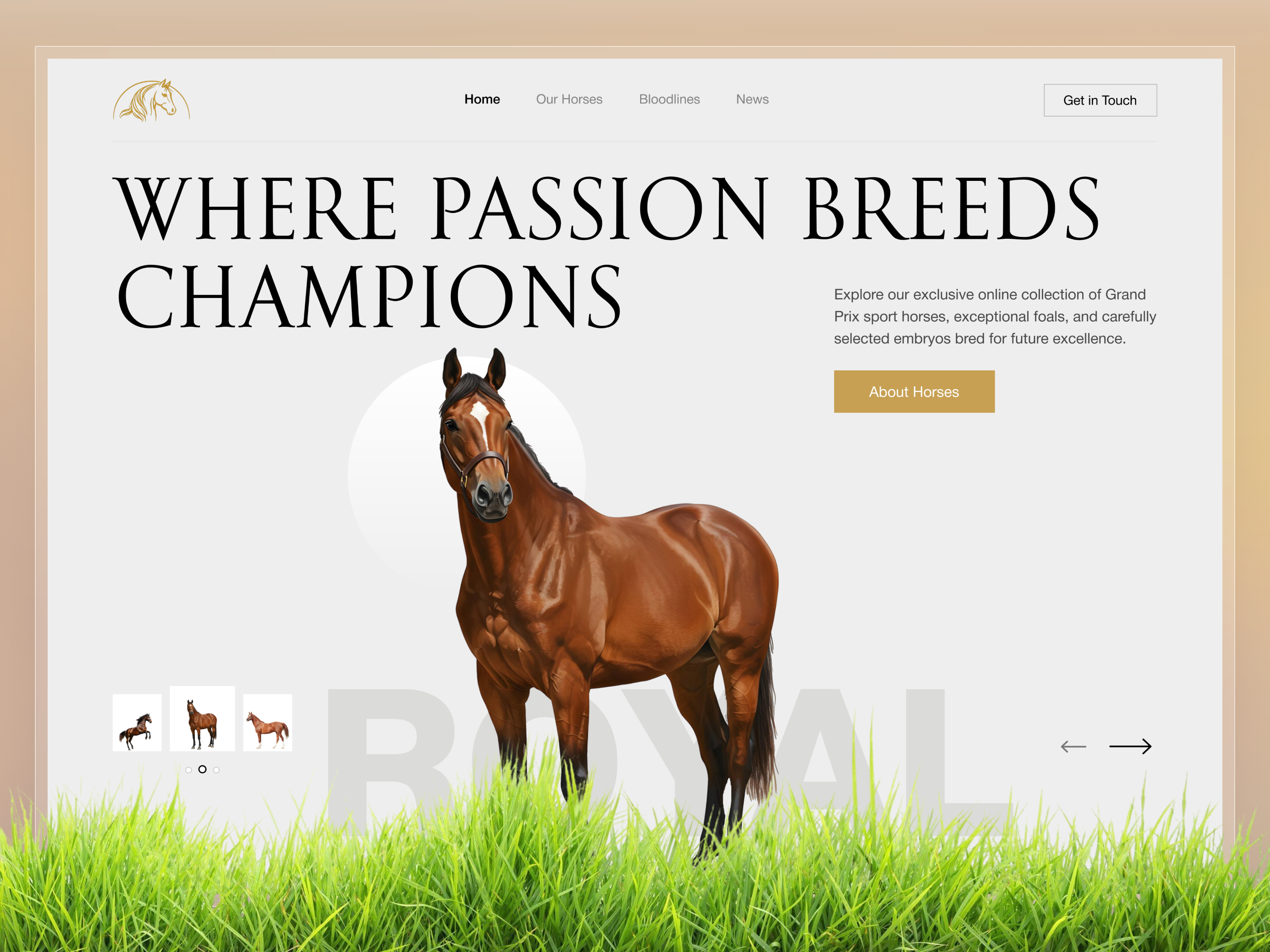 Luxury Equestrian Website — Premium Horse Breeding Web Design