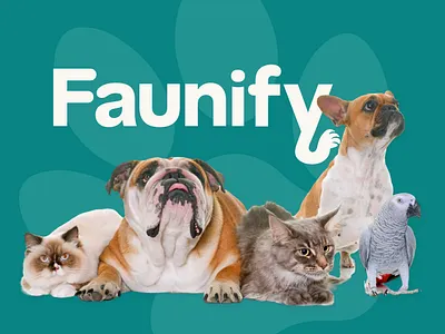 Branding and Logo Design animals app icons brand identity branding business cards graphic design logo pets pets brand