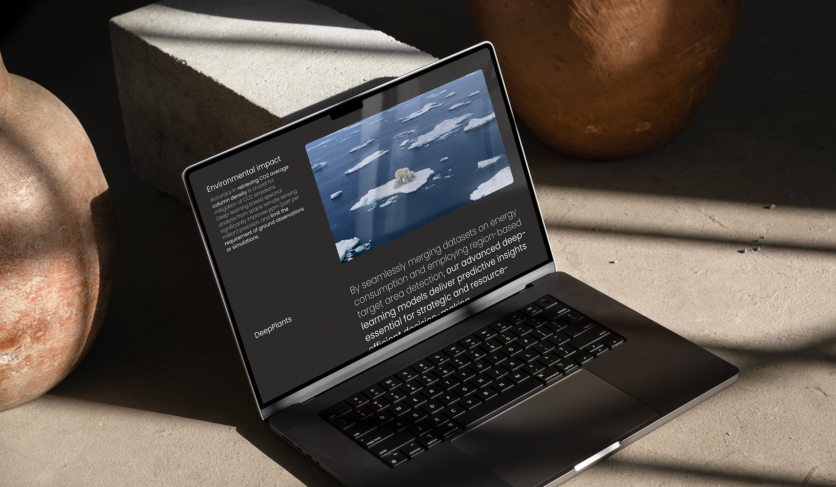 DEEPPLANTS // WEB DESIGN & WEB DEVELOPMENT