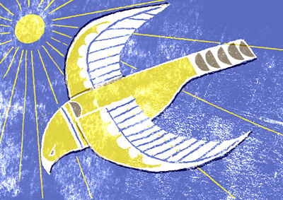 Sparrowhawk bird of prey digital illustration digital painting digitalart illustration ipad pro midcentury procreate procreate art retro spot colour
