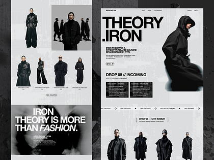 Ecommerce Hero Section – IRON THEORY