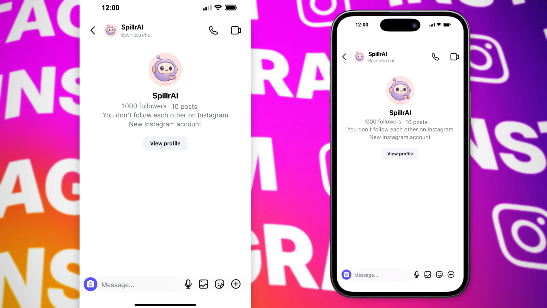 Instagram DM Chat Animation – AI Agent Conversation