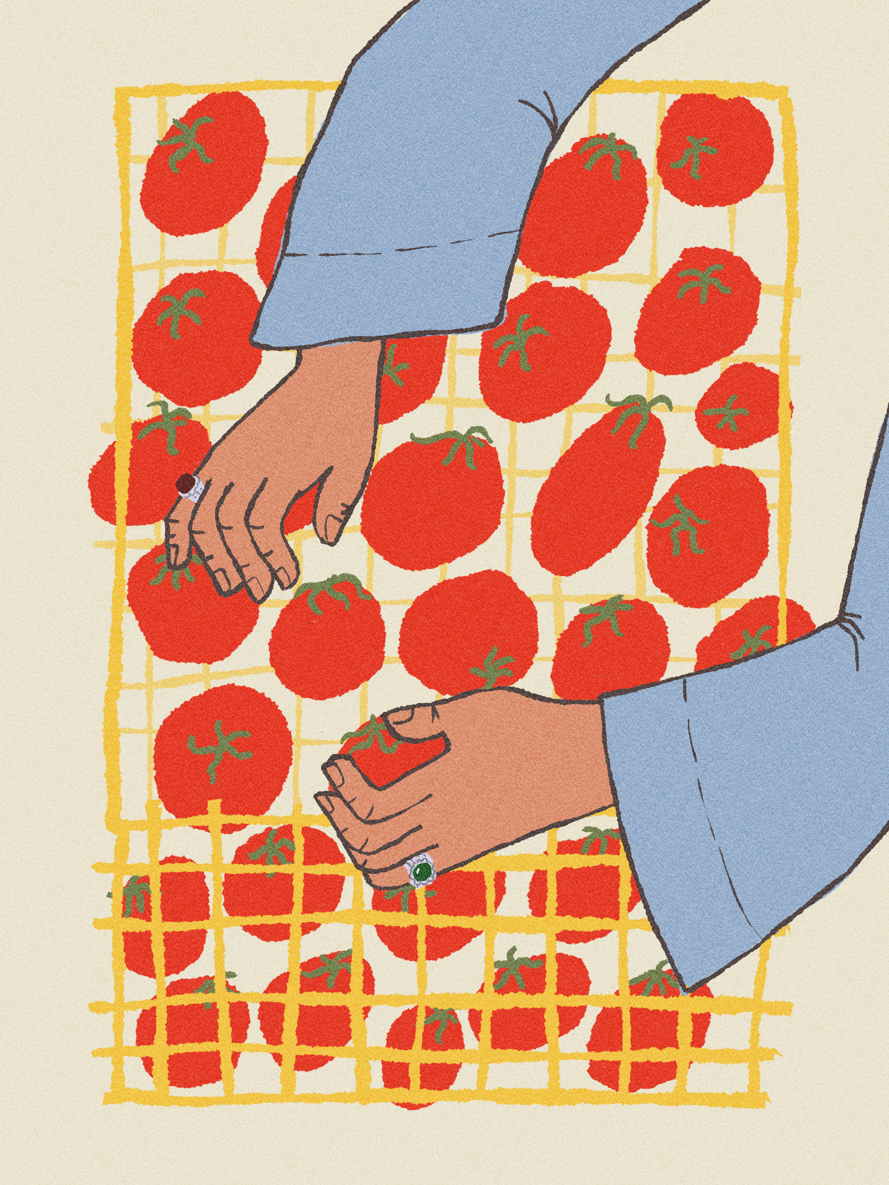 Tomato season childrens books clip studio paint design digital art egypt food illustration fruit vendor hands illustration rings tomato vegetables