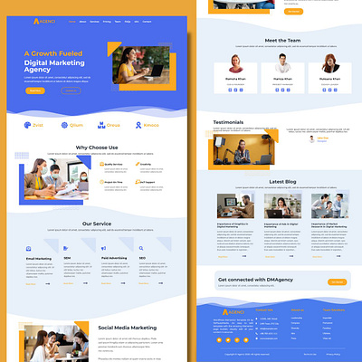 Agency Website Design business website nft nft website wordpress wordpress website
