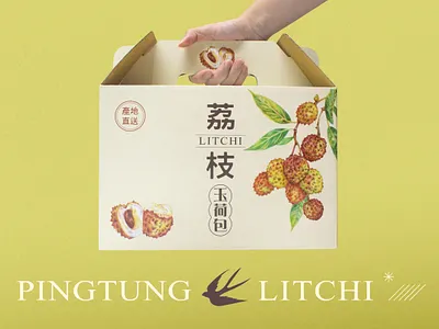 落山風下的荔枝｜玉荷包水果禮盒包裝 PINGTUNG LITCHI FRUIT PACKAGE branding graphic design hand drawn illustration logo motion graphics packaging design