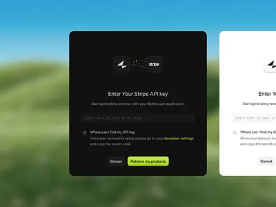 Stripe API Integration Modal – SaaS Payment Onboarding UI dark mode dashboard developer fintech modal payment saas stripe ui design web app