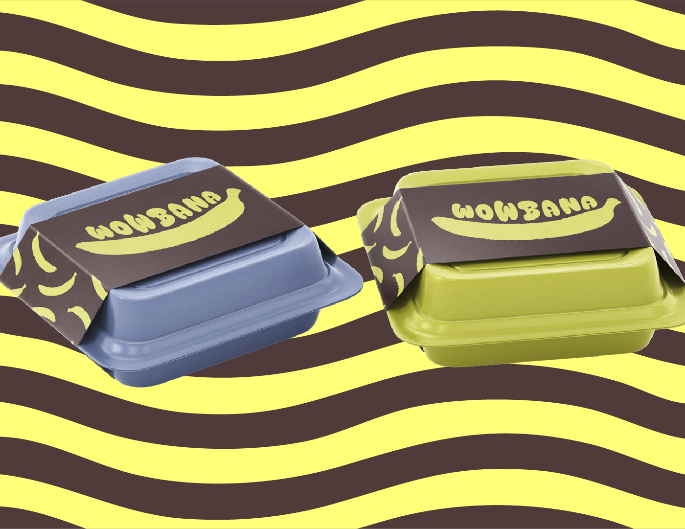 Example of One Product Packaging Design