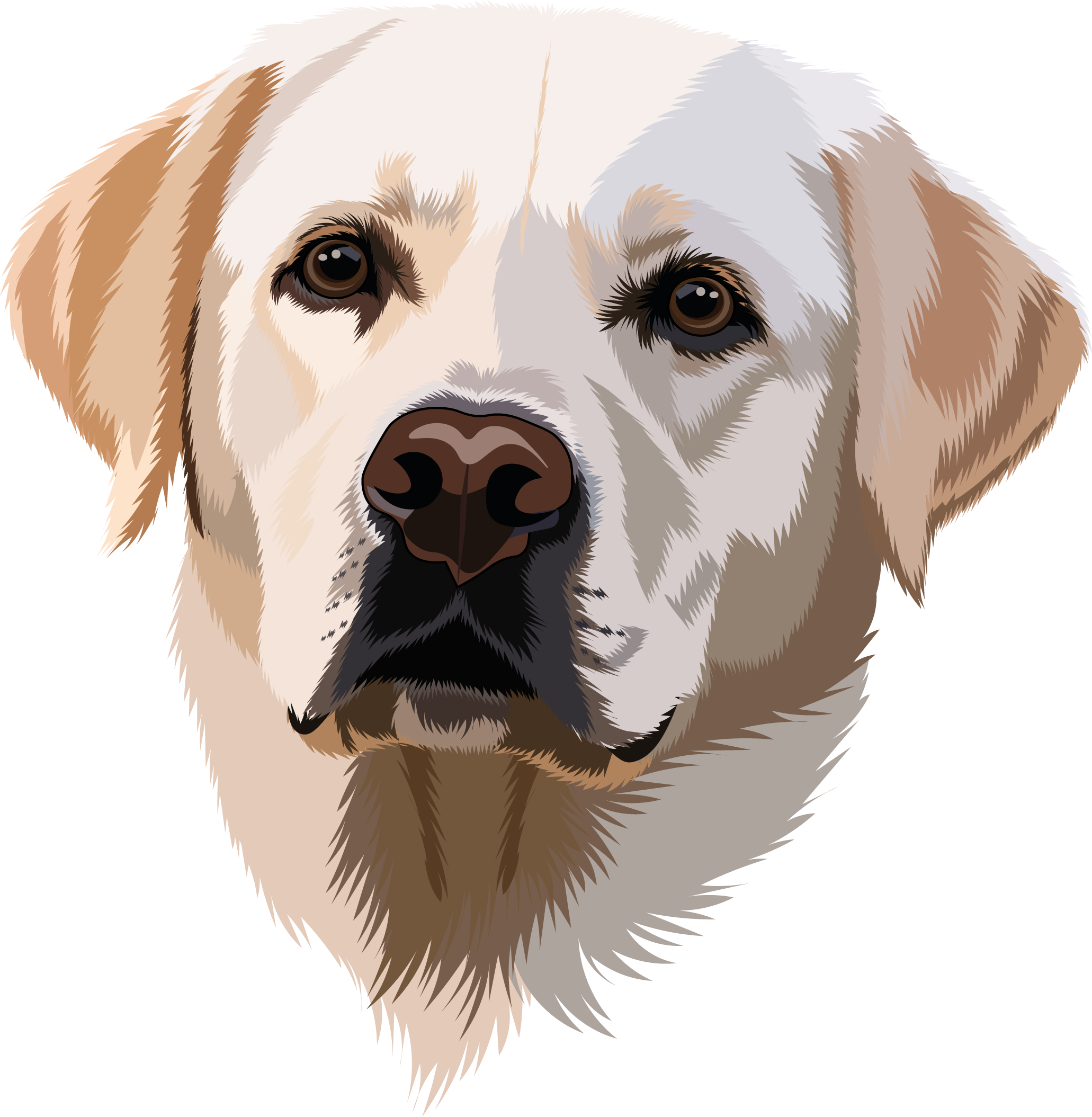 Labrador Retriever animal illustration canine art dog art dog graphic dog illustration dog lover gift dog portrait dog series lab labrador labrador art labrador lover labrador print labrador retriever minimalist dog modern dog art pet lover pet portrait vector dog vector portrait