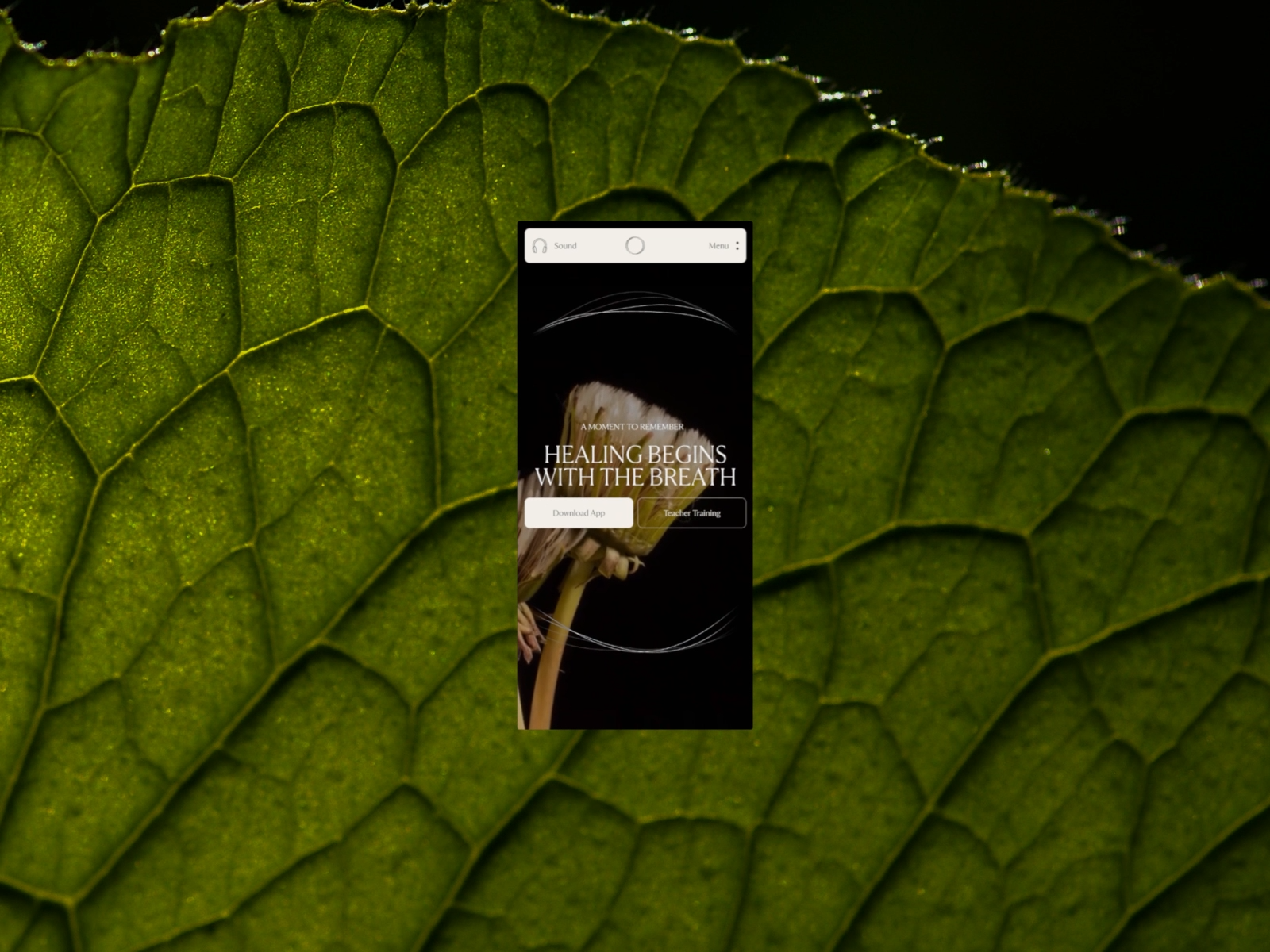 Frequency Breathwork [Home on mobile] animation design branding breathwork case case study composition design figma motion design motion graphics typography ui uidesign web design webdesign webflow website design wellness
