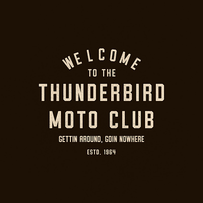 Thunderbird branding california design graphic design illustration logo west coast