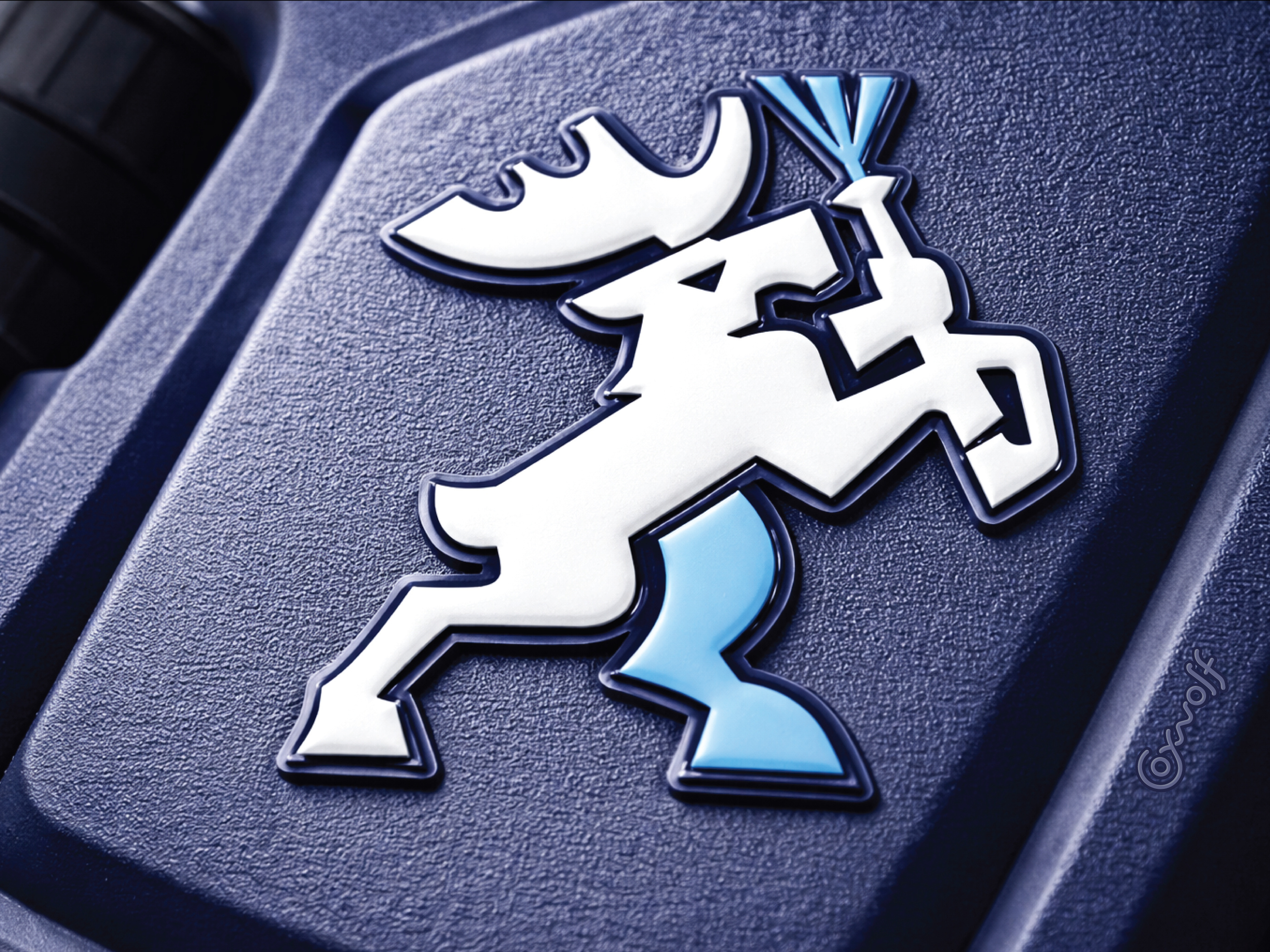 Example of Woodstone Pressure Washing - Identity Badge System Design