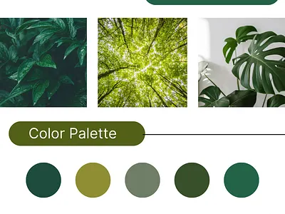 Complete Brand Board Kit | Logo, Typography,Green Color Palette brandboard brandcolors branddevelopment brandidentity branding brandingkit brandstrategy color palette dribbble graphic design green palette logo logodesigner moodboard typography visualidentity