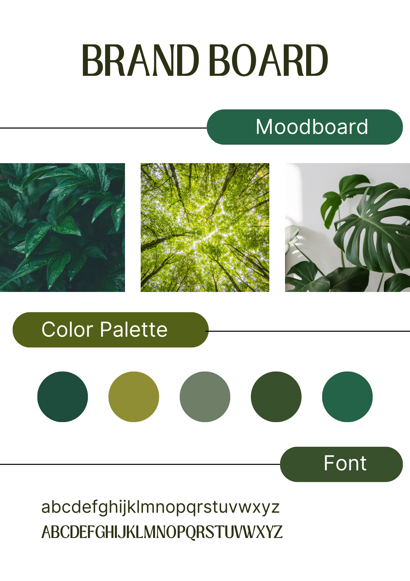 Complete Brand Board Kit | Logo, Typography,Green Color Palette by ...