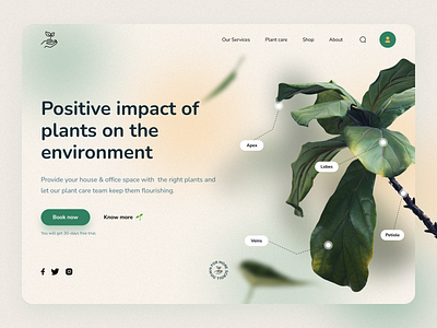 positive effects of the plant | page design ui