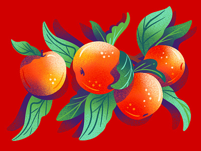 Apples apples drawing food illustration fruit fruit illustration illustration ingredient illustration jordan kay packaging illustration texture