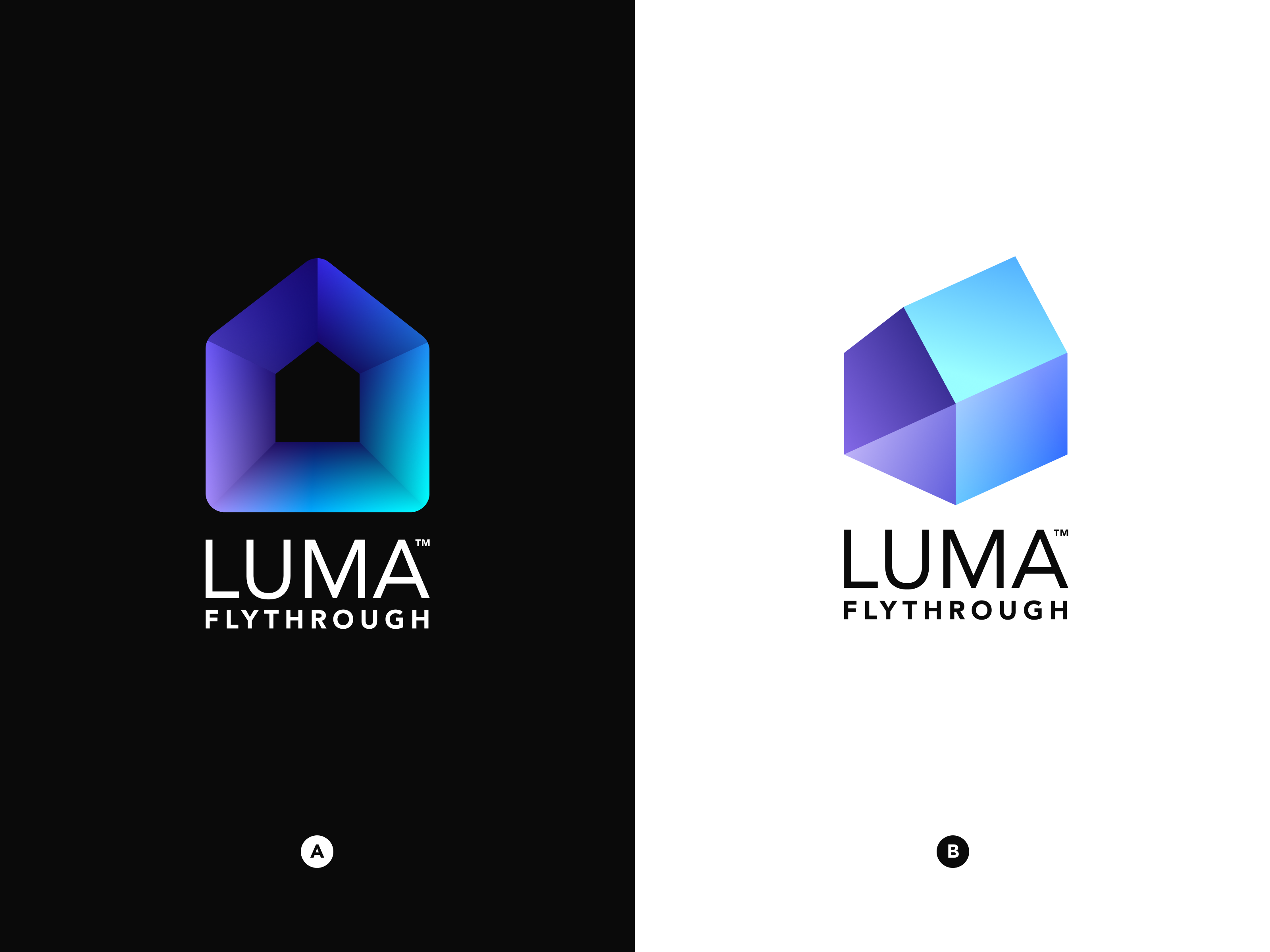 Example of LUMA Flythrough