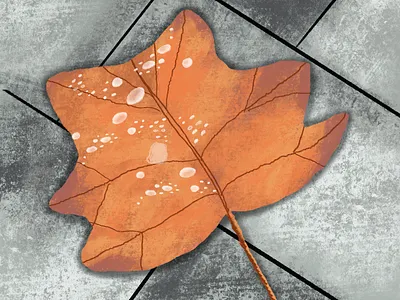 Dewy leaf on pavement artdaily artwork characterdesign conceptart creativecommunity designinspiration digitalart digitalillustration drawing dribbble dribbblers graphicart illustration illustrationoftheday procreate procreateart procreateillustration sketch visualart
