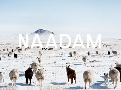 NAADAM Cashmere branding graphic design logo