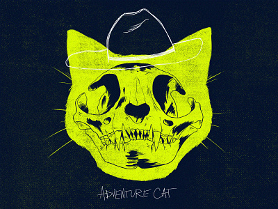 Adventure Cat adventure cats cowboy design handlettering illu illustration