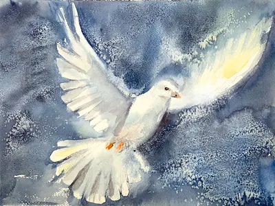 White Dove Print art concept dove feather flight flying freedom illustration isolated love peace pigeon religion sky symbol transparent war wedding white wing