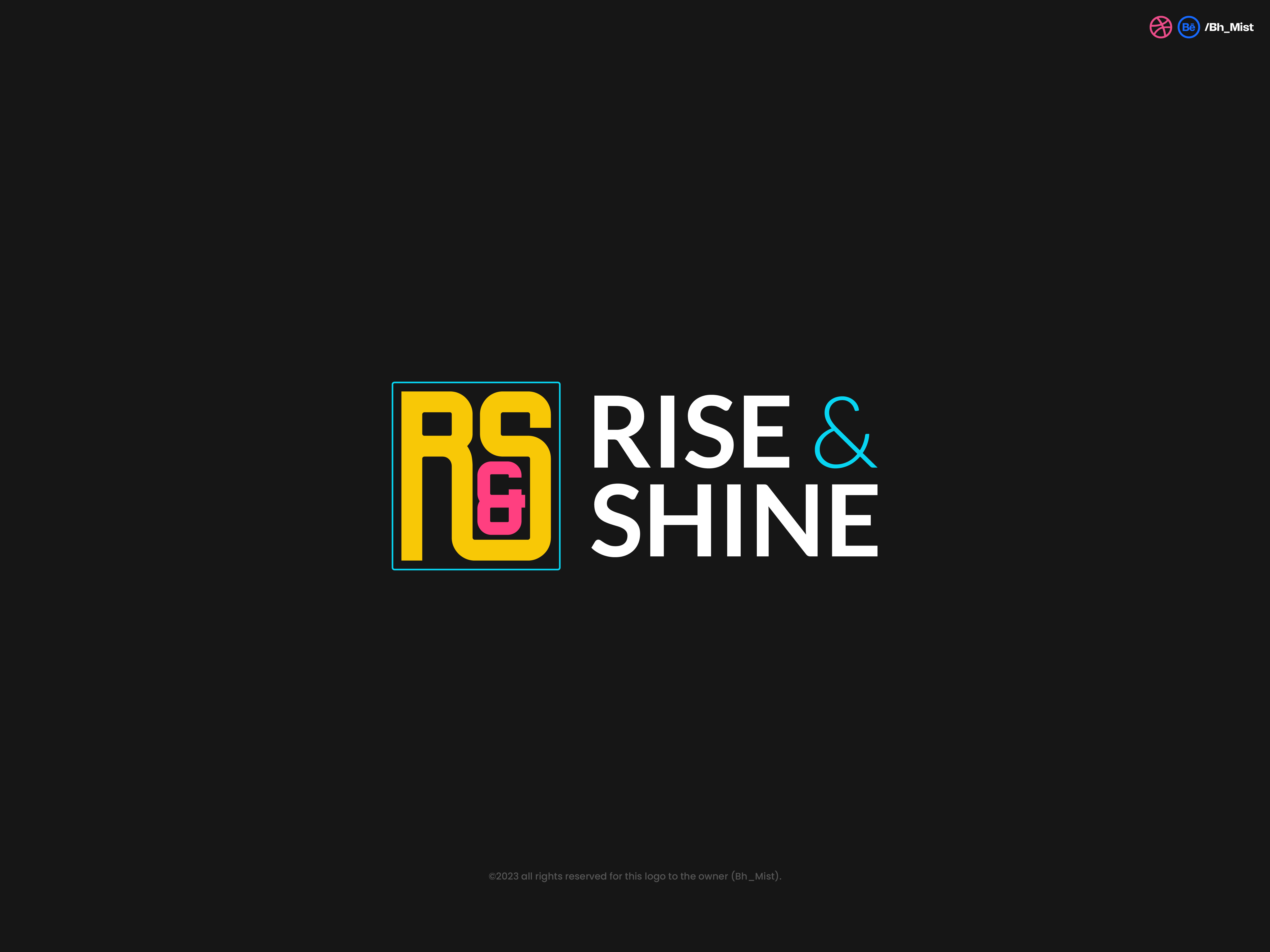 Hair Brand Logo adobe brand identity branding coreldraw graphic design graphic designer illustrator logo logo design typography ui