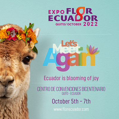 Expoflor Ecuador 2022 campaing design graphic design illustration logo vector