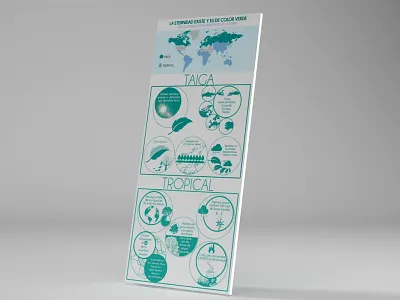 Infographic design for L'Oréal Paris infographic design infographics