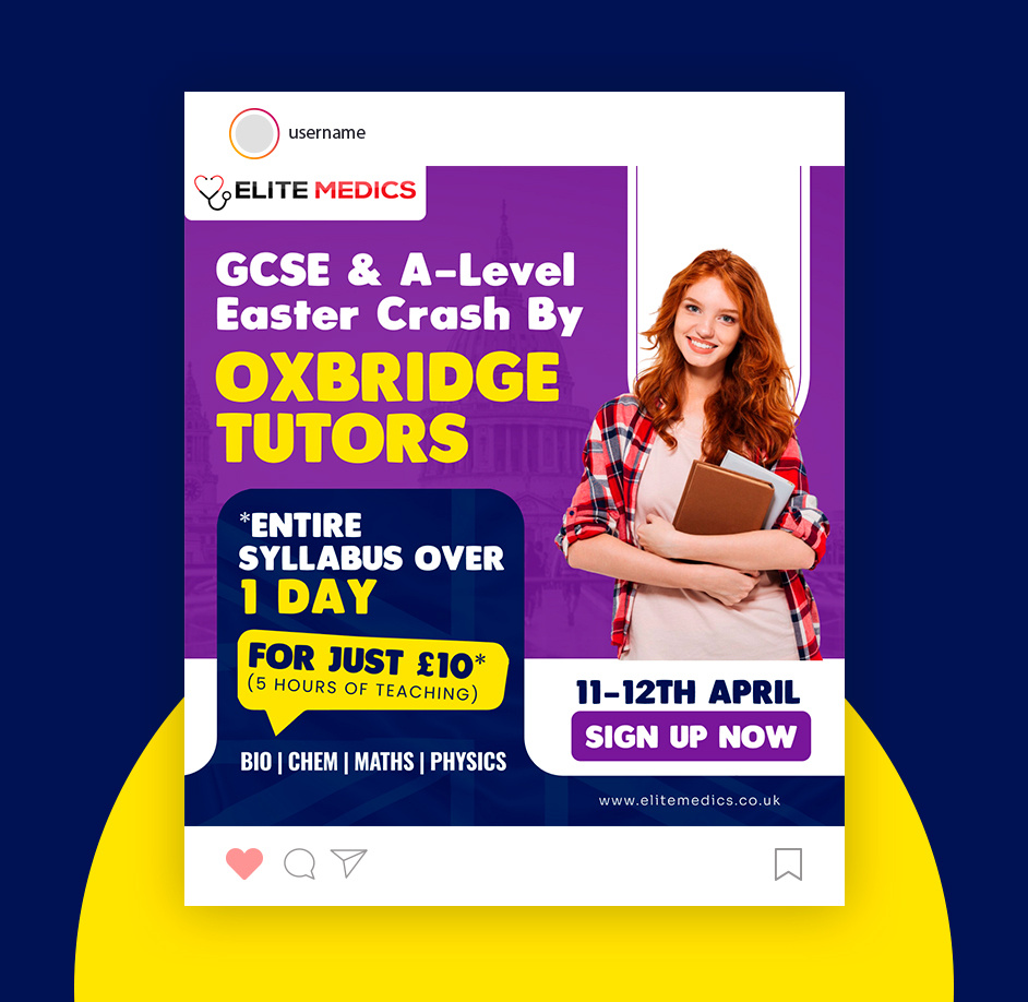 Elite Medics GCSE & A-Level Easter Crash Course branding design graphic design typography ui ux vector website design