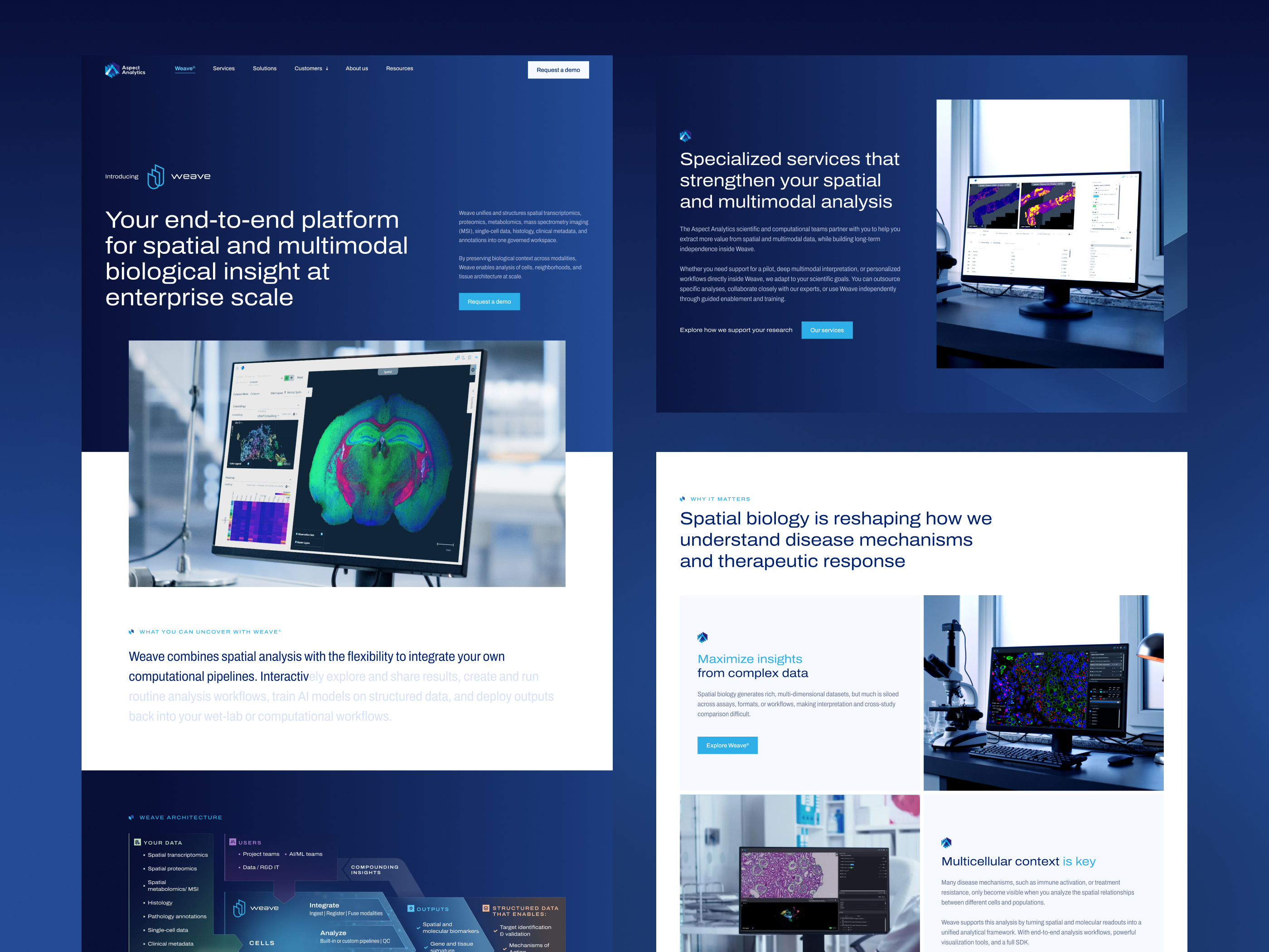 Aspect Analytics Website Pages
