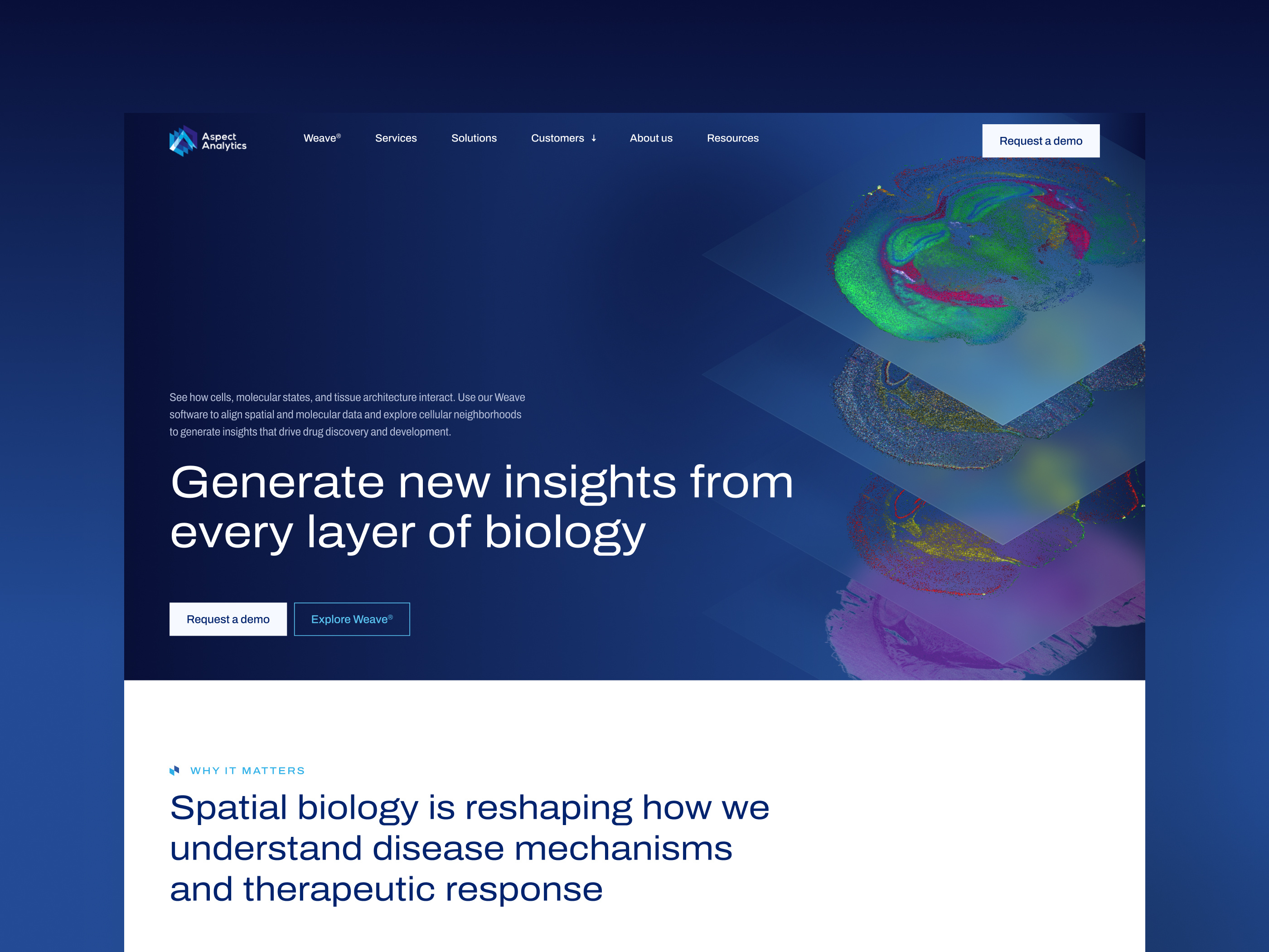 Aspect Analytics Website