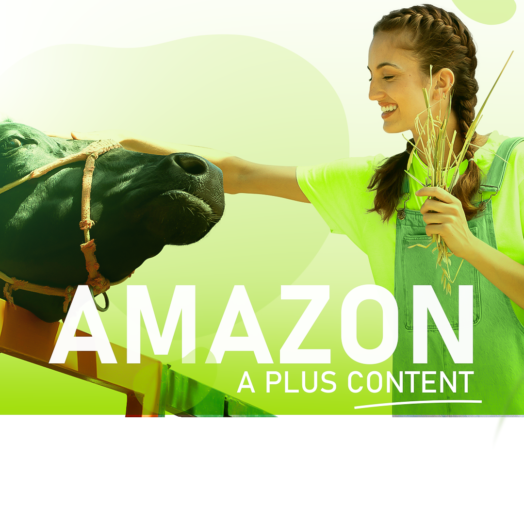 Amazon A Plus Content Design a plus content amazon amazon a plus content amazon ebc design amazon listing image amazon premium a plus content ebc design listing images premium premium a plus content