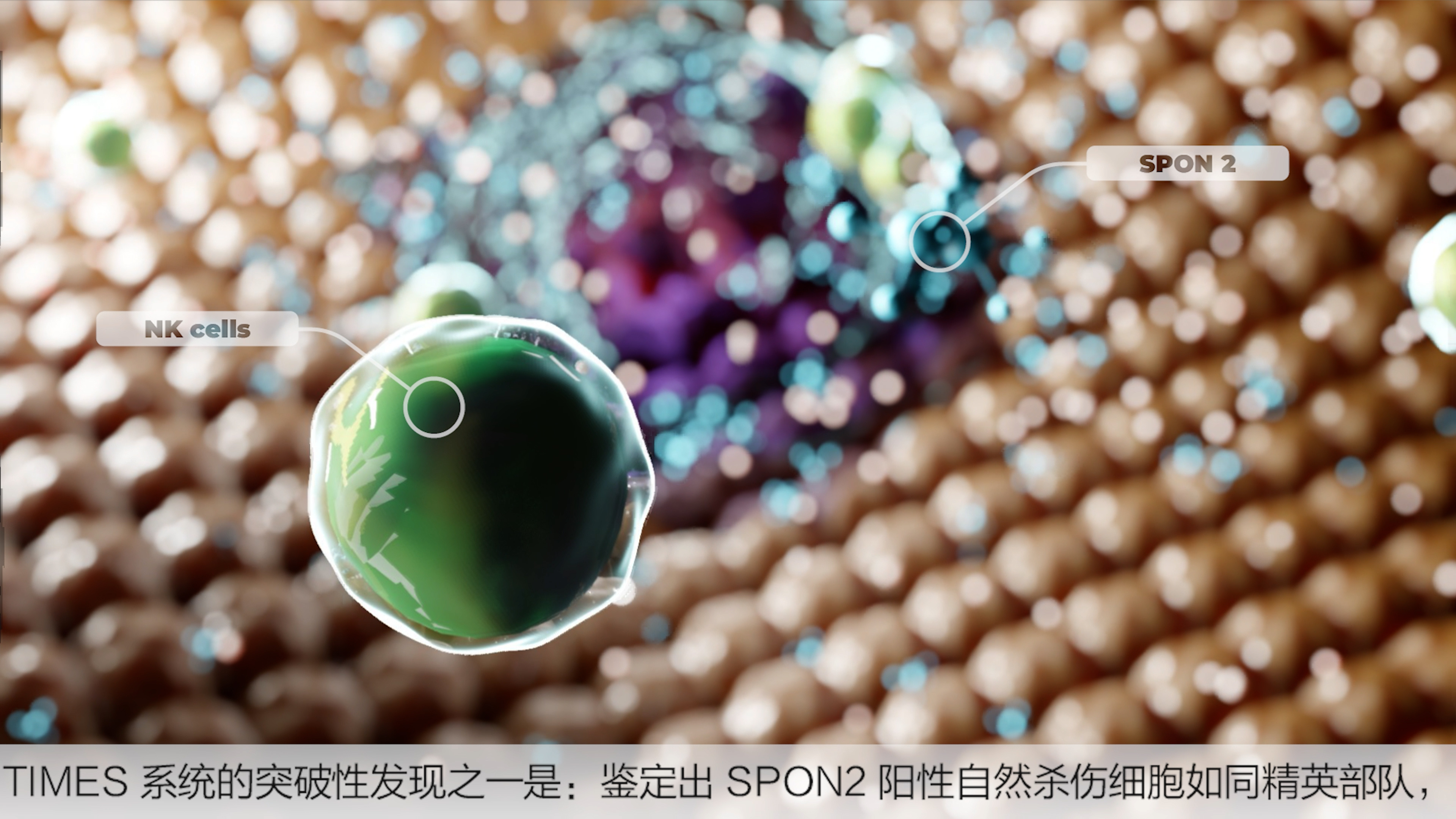 3D Medical Animation Liver Cancer Recurrence & Tumor Progression 3d animation biotech animation medical animation moa