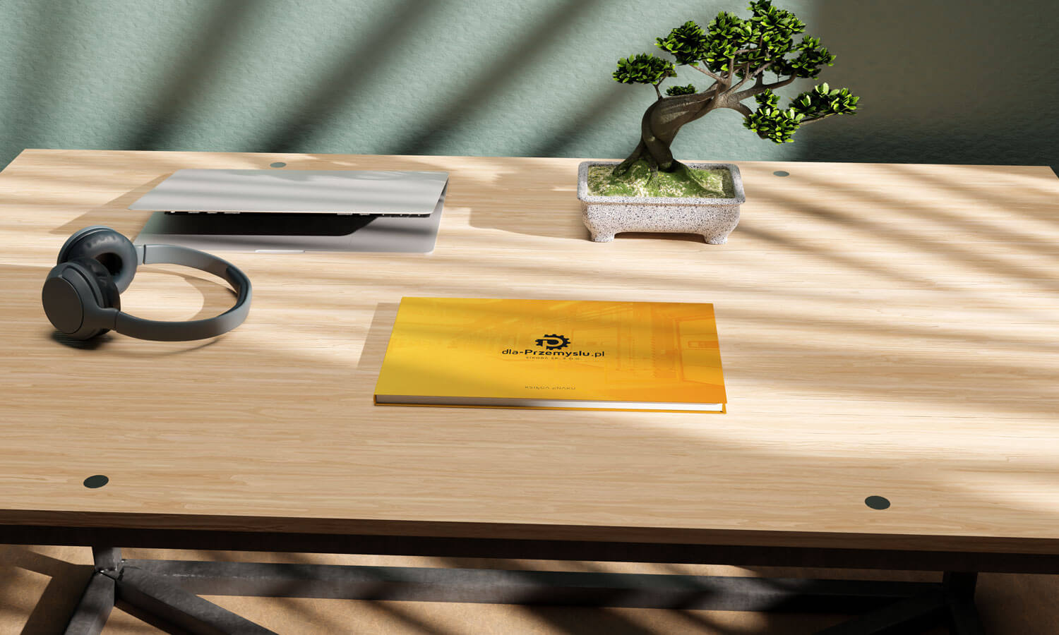 dla Przemyslu pl Visual Identity and Branding