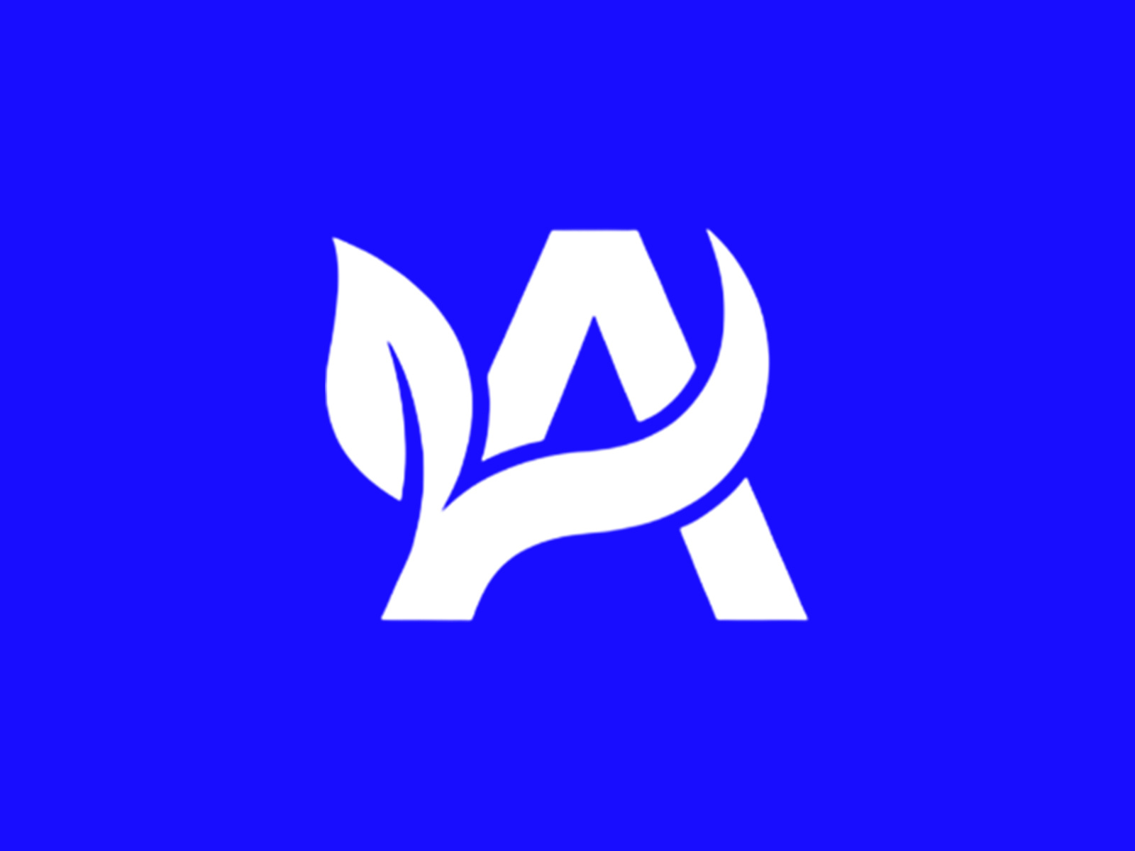 Example of Professional Banner And Logo Design