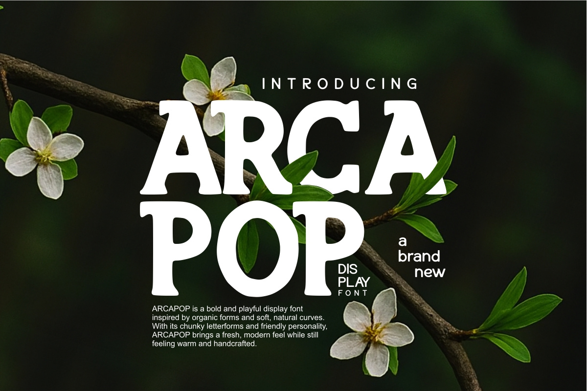Example of Font