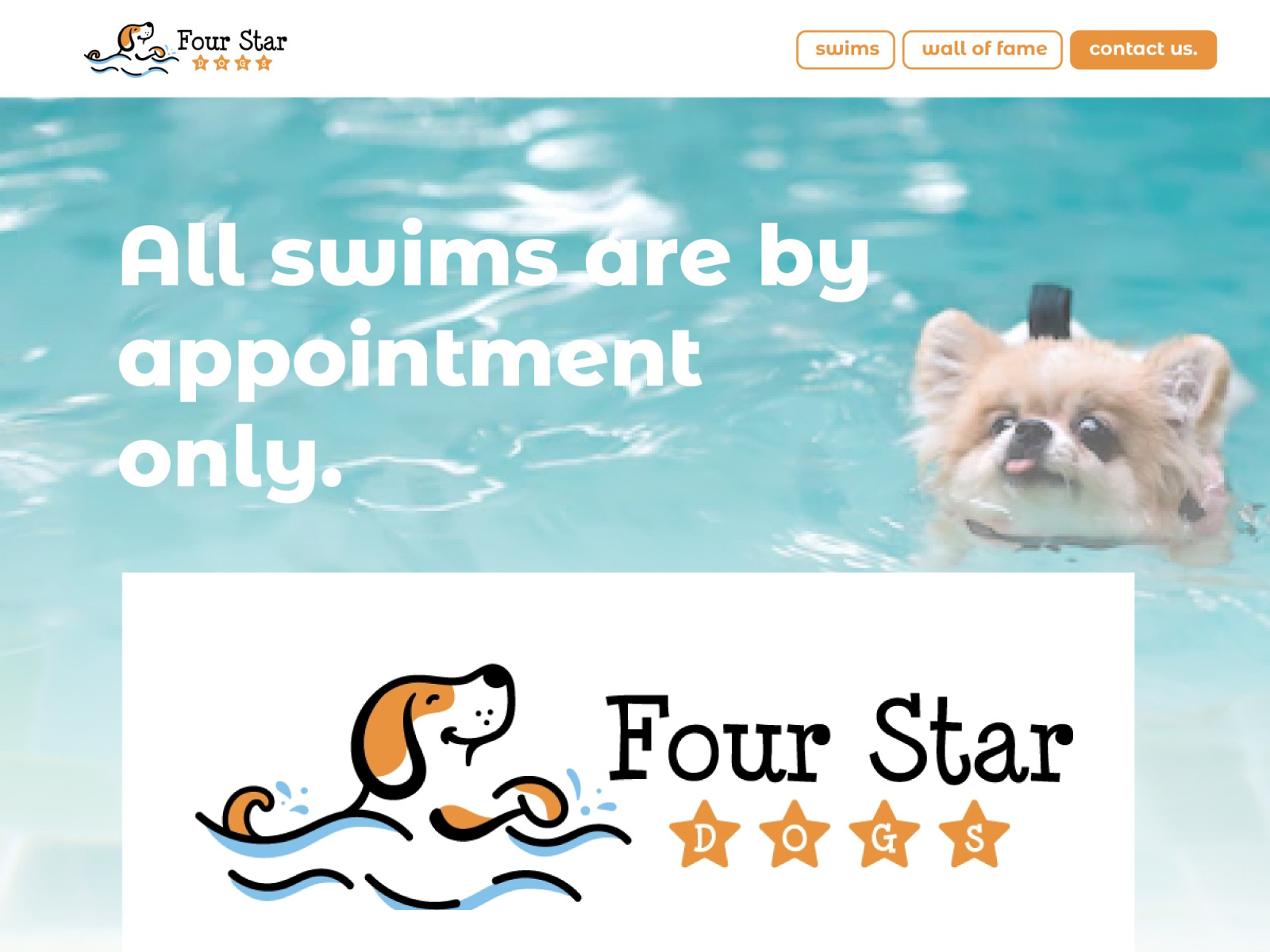 Four Star Dogs – Dog Swimming & Boarding Logo Design agency website animal logo design dog boarding dog logo dog swimming graphic design illustration logo pet care pet logo ui vector veterinary